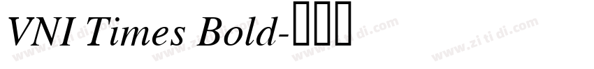VNI Times Bold字体转换